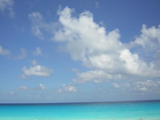 DSCN0134.jpg
