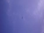 DSCN0044.jpg
