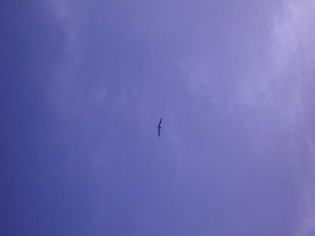DSCN0044.jpg