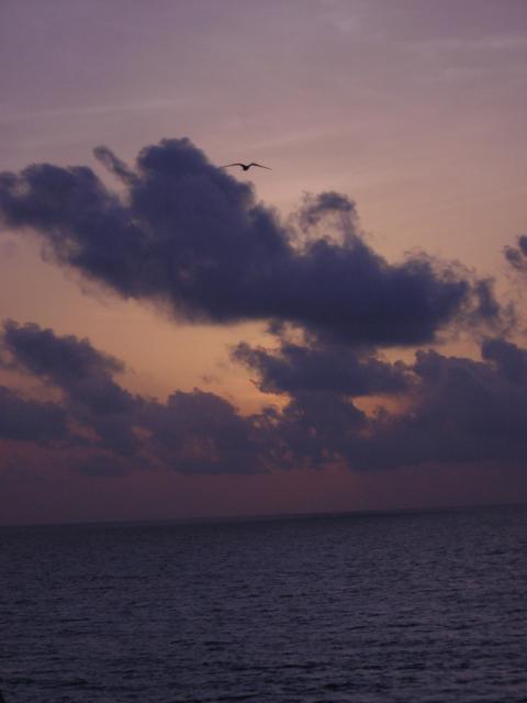 DSCN0046.jpg