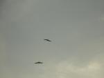 DSCN0047.jpg