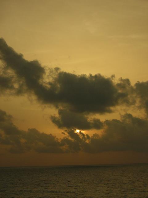 DSCN0049.jpg
