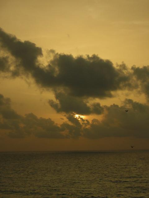 DSCN0050.jpg