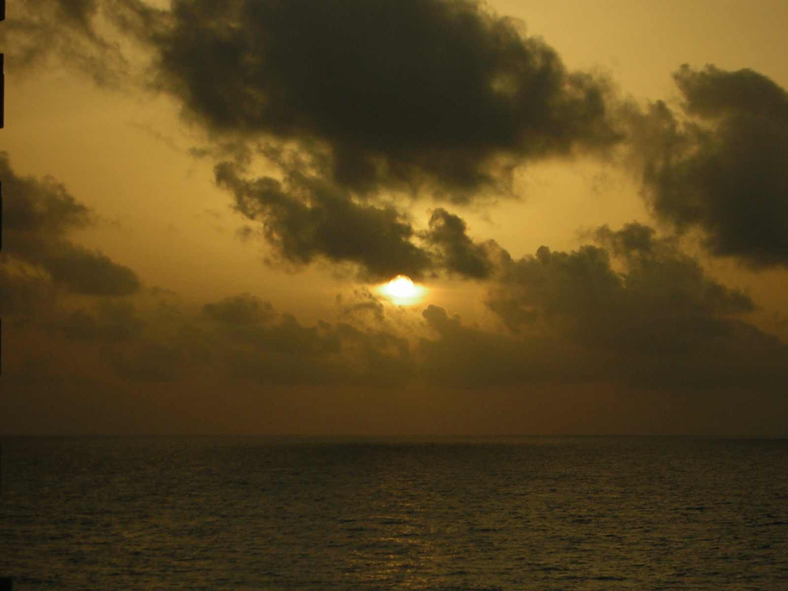 DSCN0052.jpg