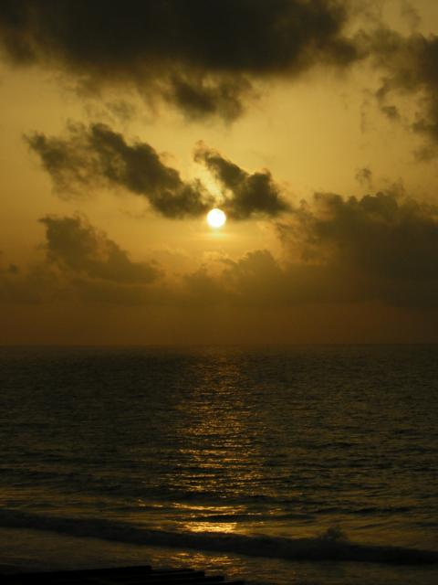 DSCN0055.jpg