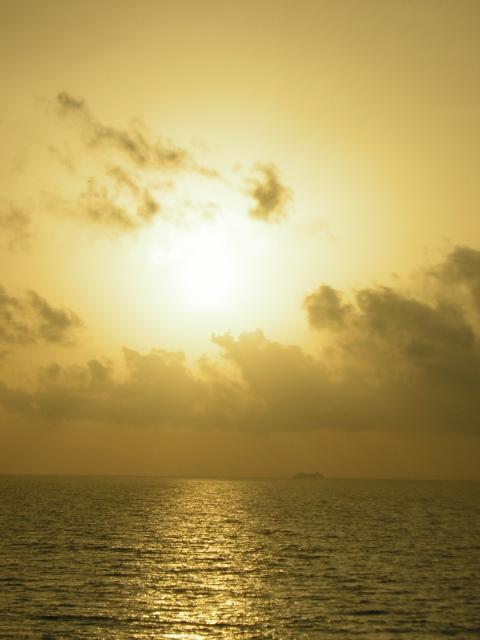 DSCN0064.jpg