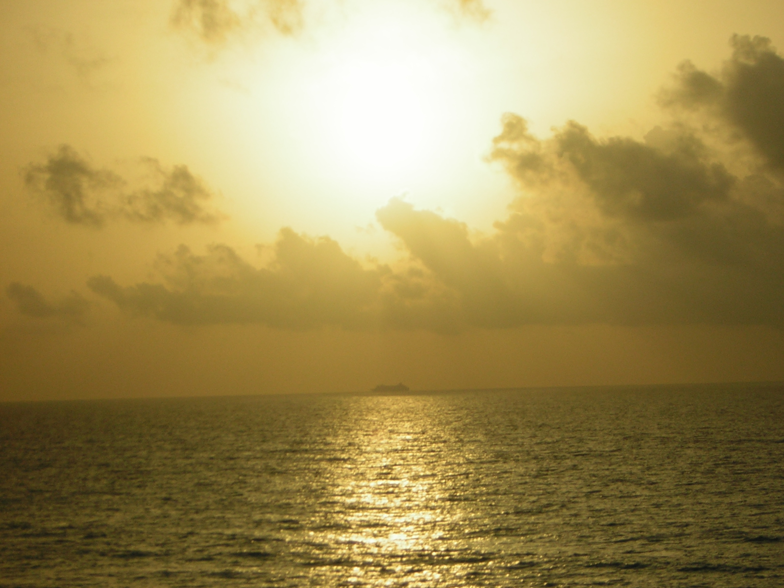 DSCN0066.jpg
