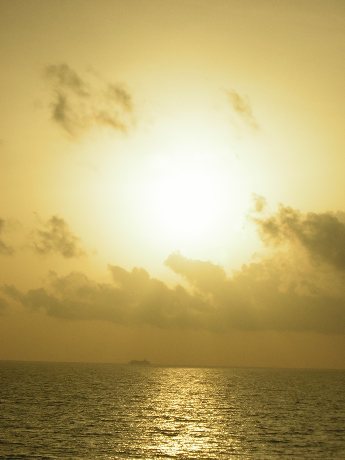 DSCN0067.jpg