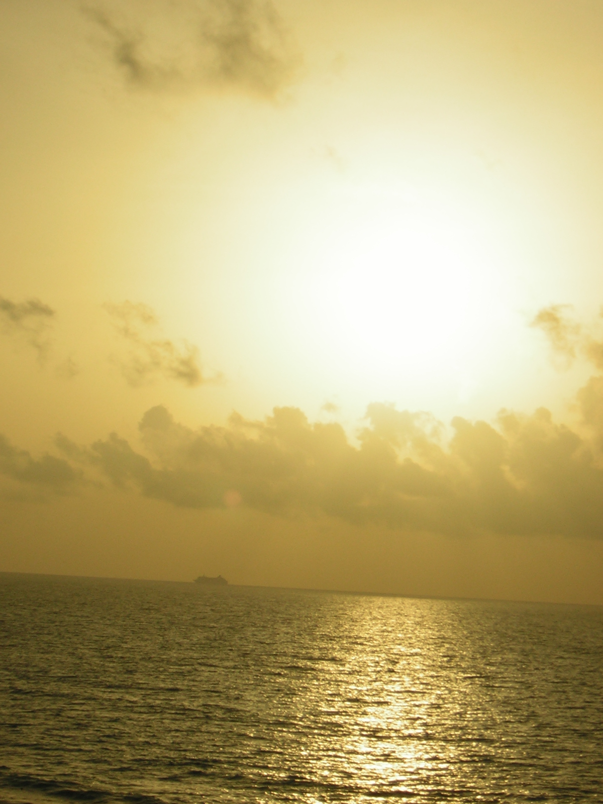 DSCN0068.jpg