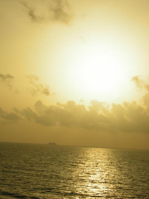 DSCN0068.jpg