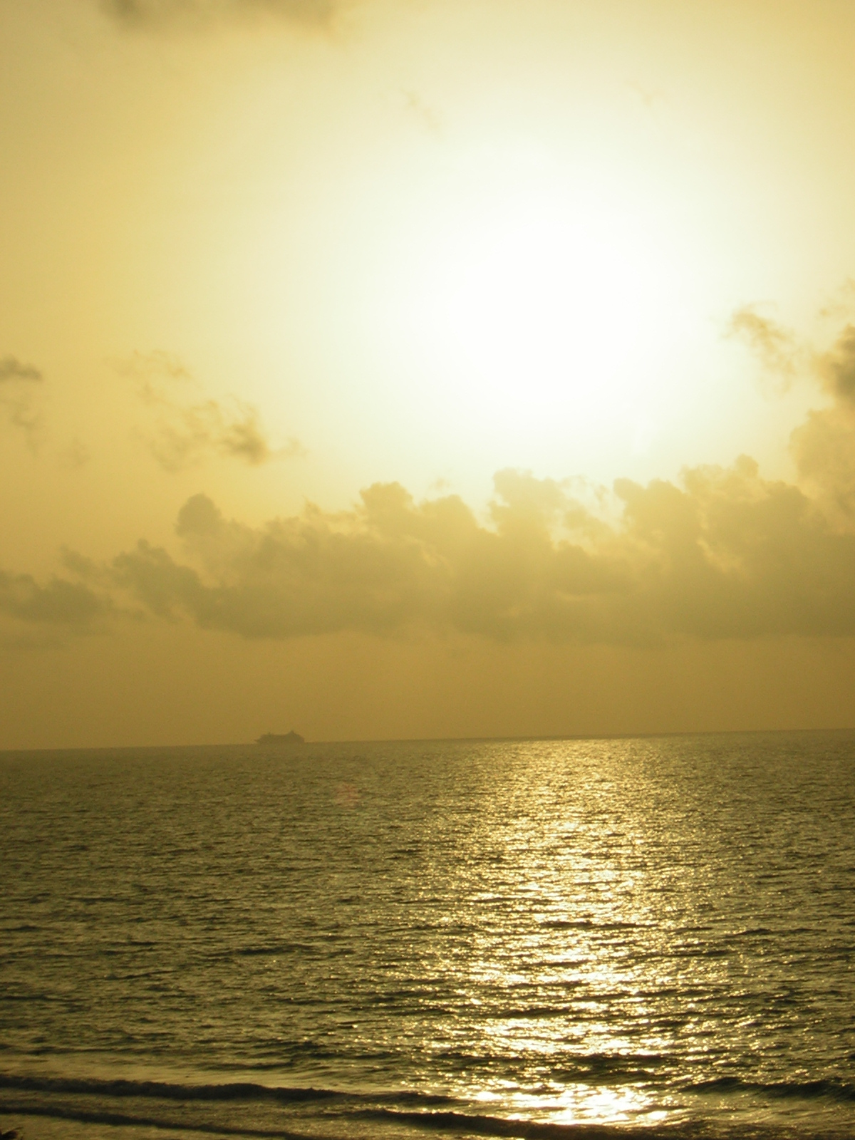 DSCN0069.jpg
