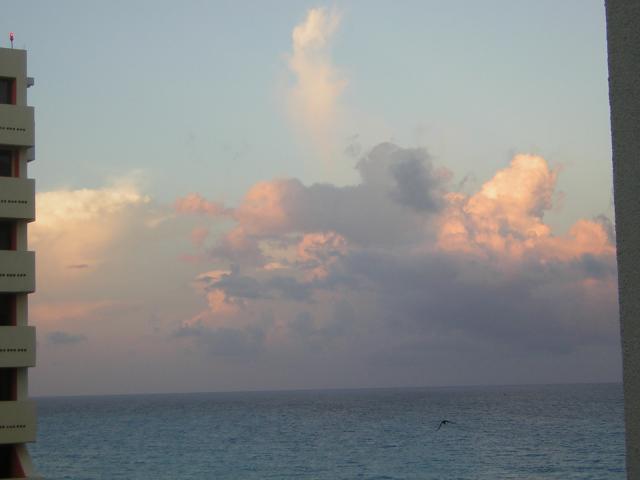 DSCN0136.jpg