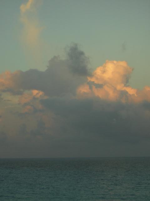 DSCN0137.jpg