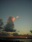 DSCN0143.jpg