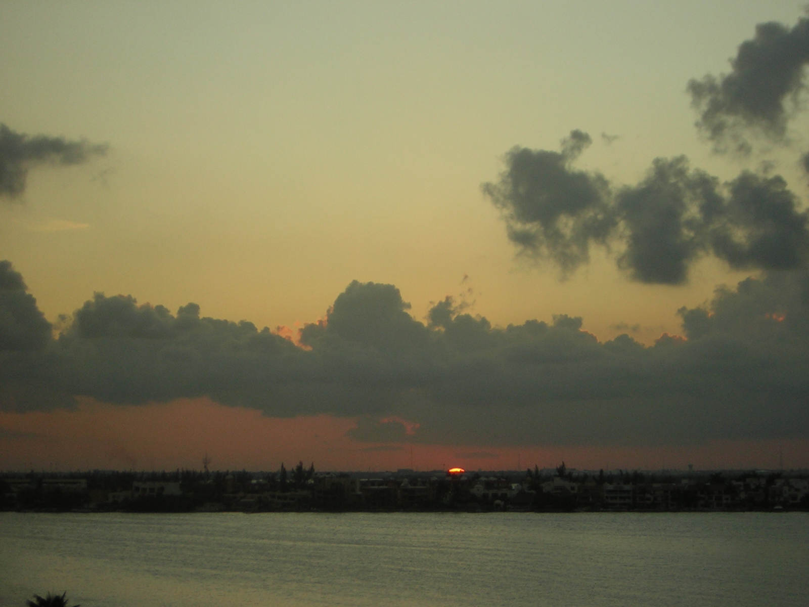 DSCN0161.jpg