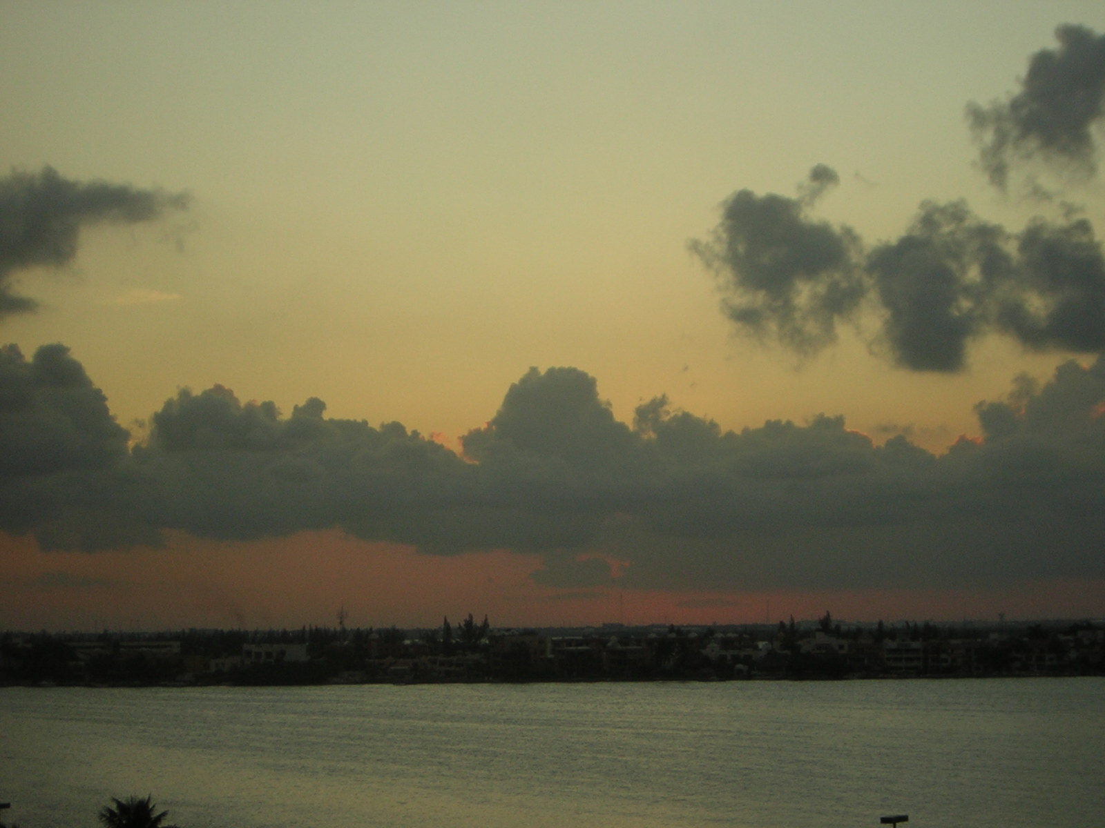 DSCN0164.jpg