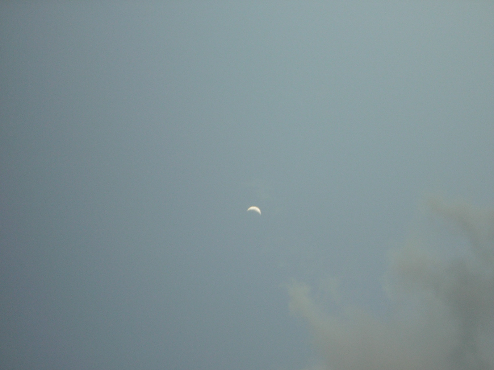 DSCN0168.jpg
