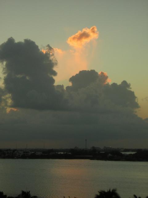 DSCN0170.jpg