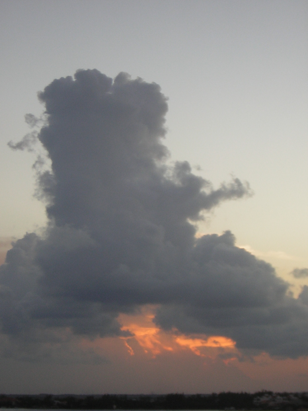 DSCN0174.jpg
