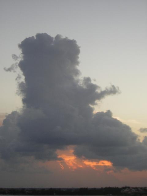 DSCN0174.jpg