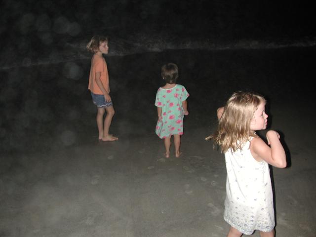 DSCN0937.jpg