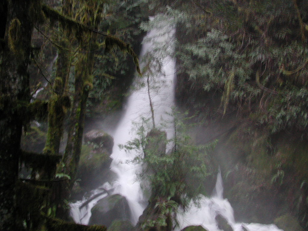 DSCN1660.jpg