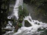 Quinault and Oregon coast - March 2003