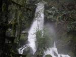 DSCN1661.jpg