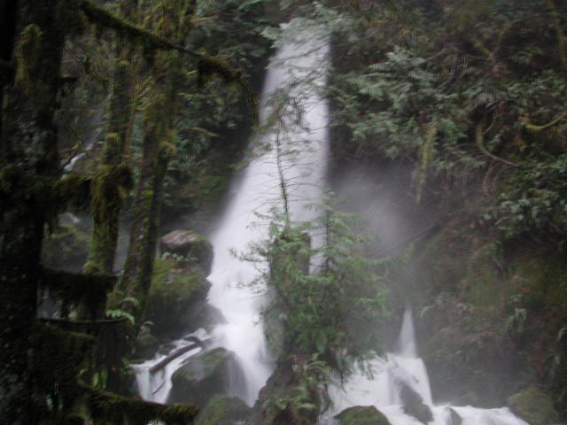 DSCN1661.jpg