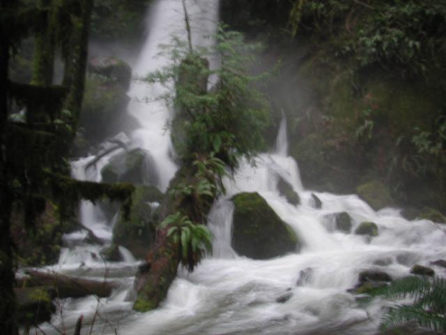 DSCN1662.jpg