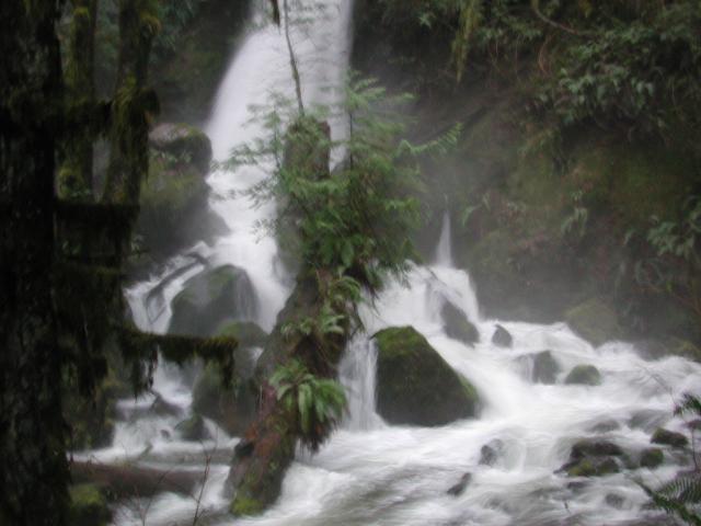 DSCN1663.jpg