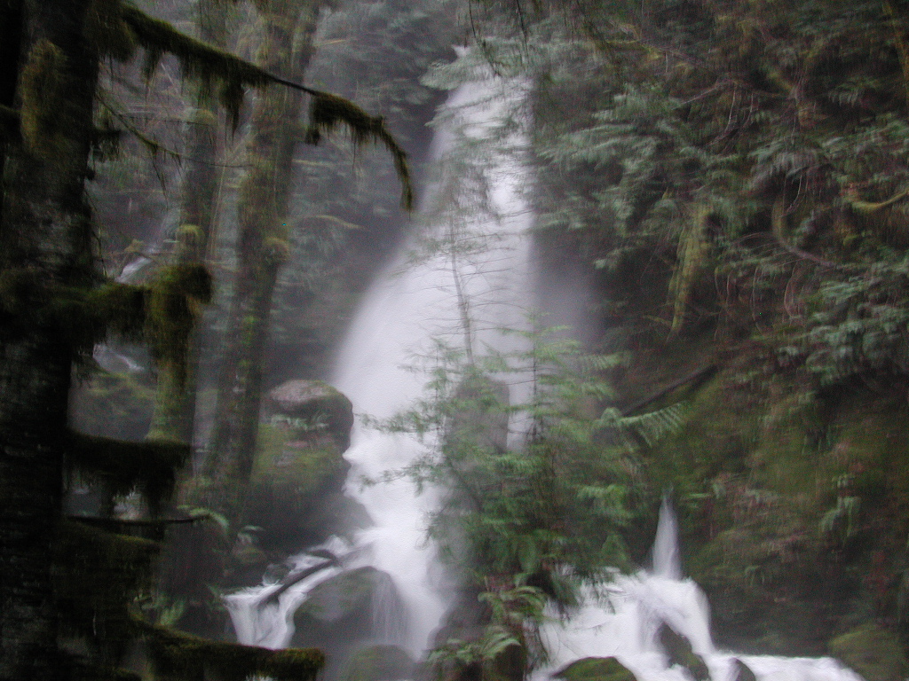 DSCN1665.jpg