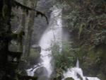 DSCN1665.jpg