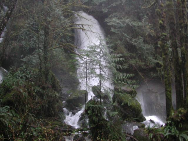 DSCN1667.jpg