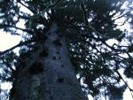 DSCN1668.jpg