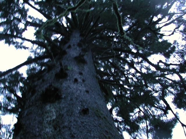 DSCN1668.jpg