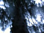 DSCN1669.jpg
