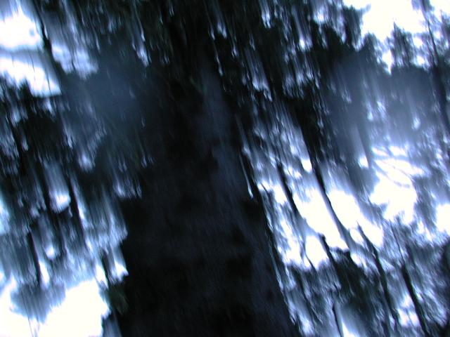 DSCN1669.jpg