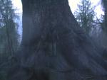DSCN1670.jpg