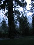 DSCN1676.jpg