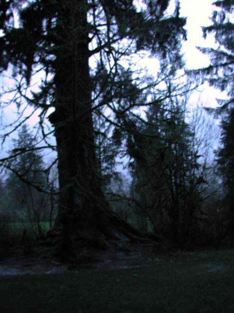 DSCN1676.jpg