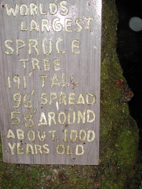 DSCN1677.jpg