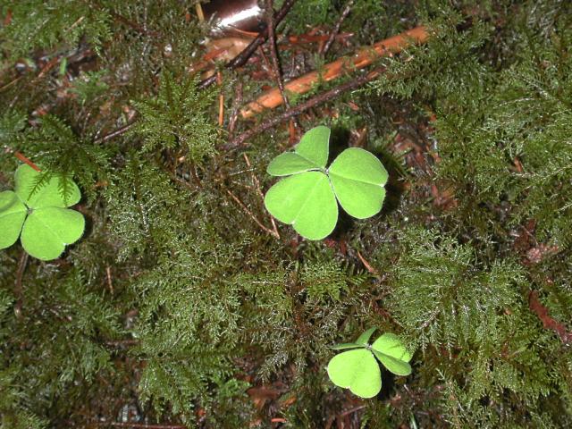 DSCN1682.jpg