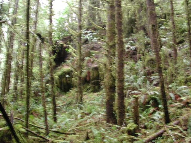 DSCN1684.jpg