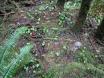 DSCN1685.jpg
