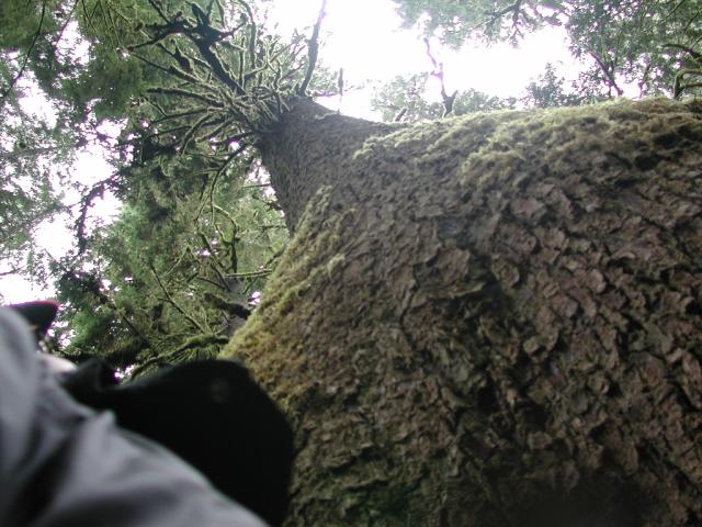 DSCN1687.jpg