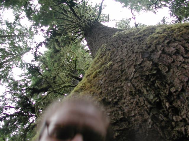 DSCN1689.jpg