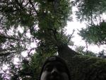 DSCN1690.jpg