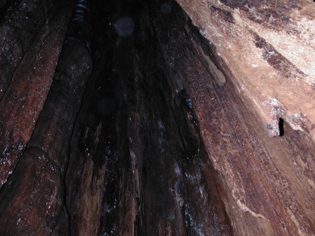 DSCN1691.jpg