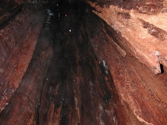 DSCN1692.jpg